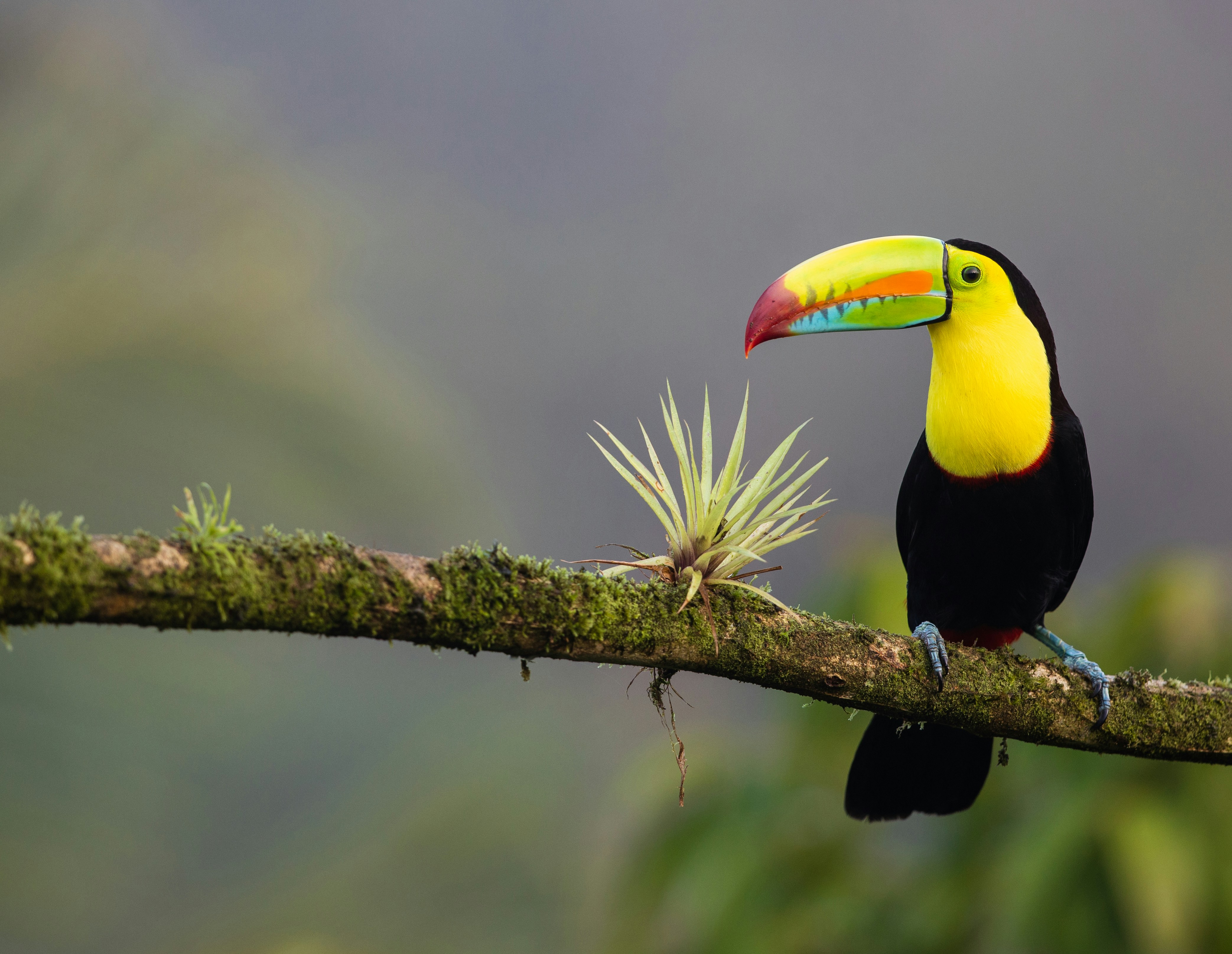 Costa Rica landscape 1